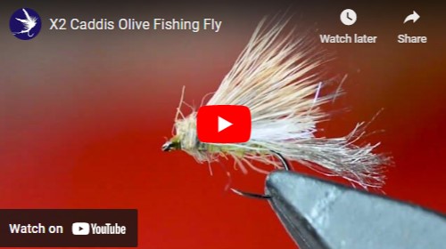 Blog: DiscountFlies Online Fly Shop