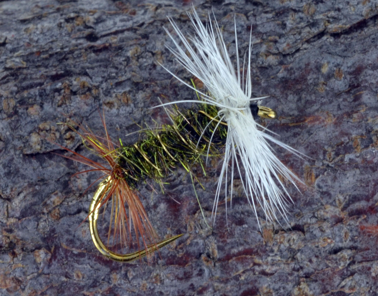 Double Renegade Dry Fly Fly Fishing Flies for Fly Fishing Attractor Dry  Flies 3 Pack of Premium Trout Flies -  Canada