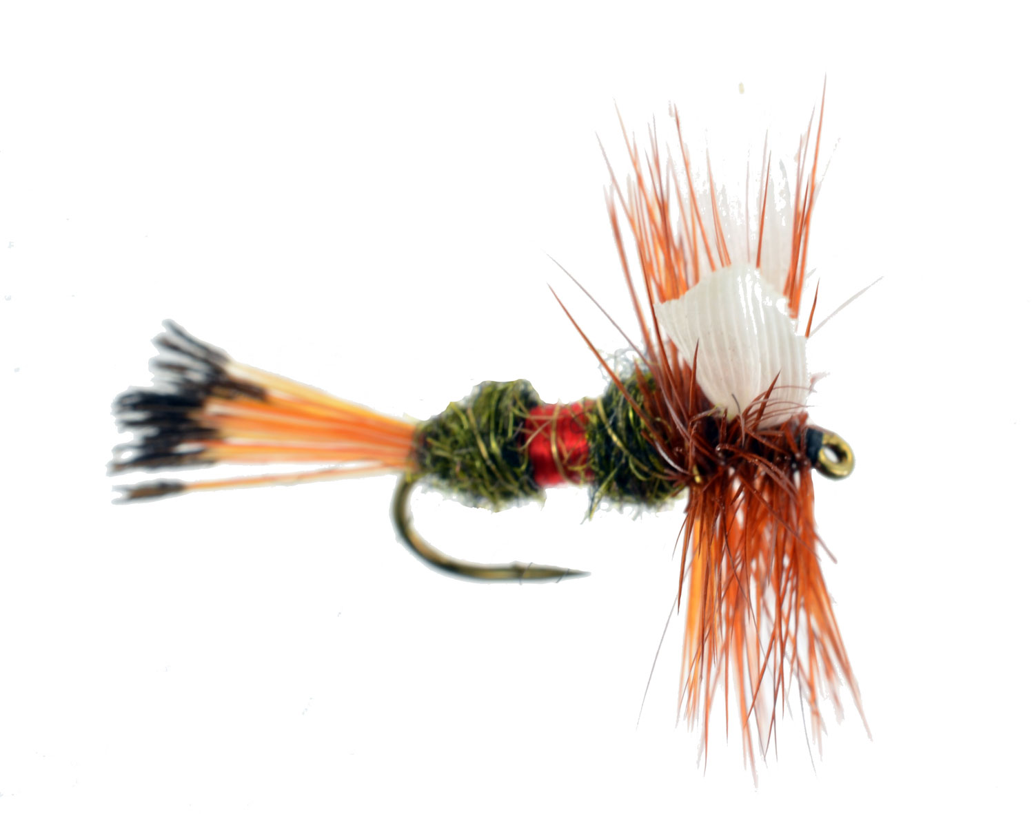 Royal Coachman Wet, Discount Trout Flies for Fly Fishing