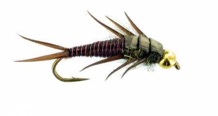 Wired Brown Stonefly