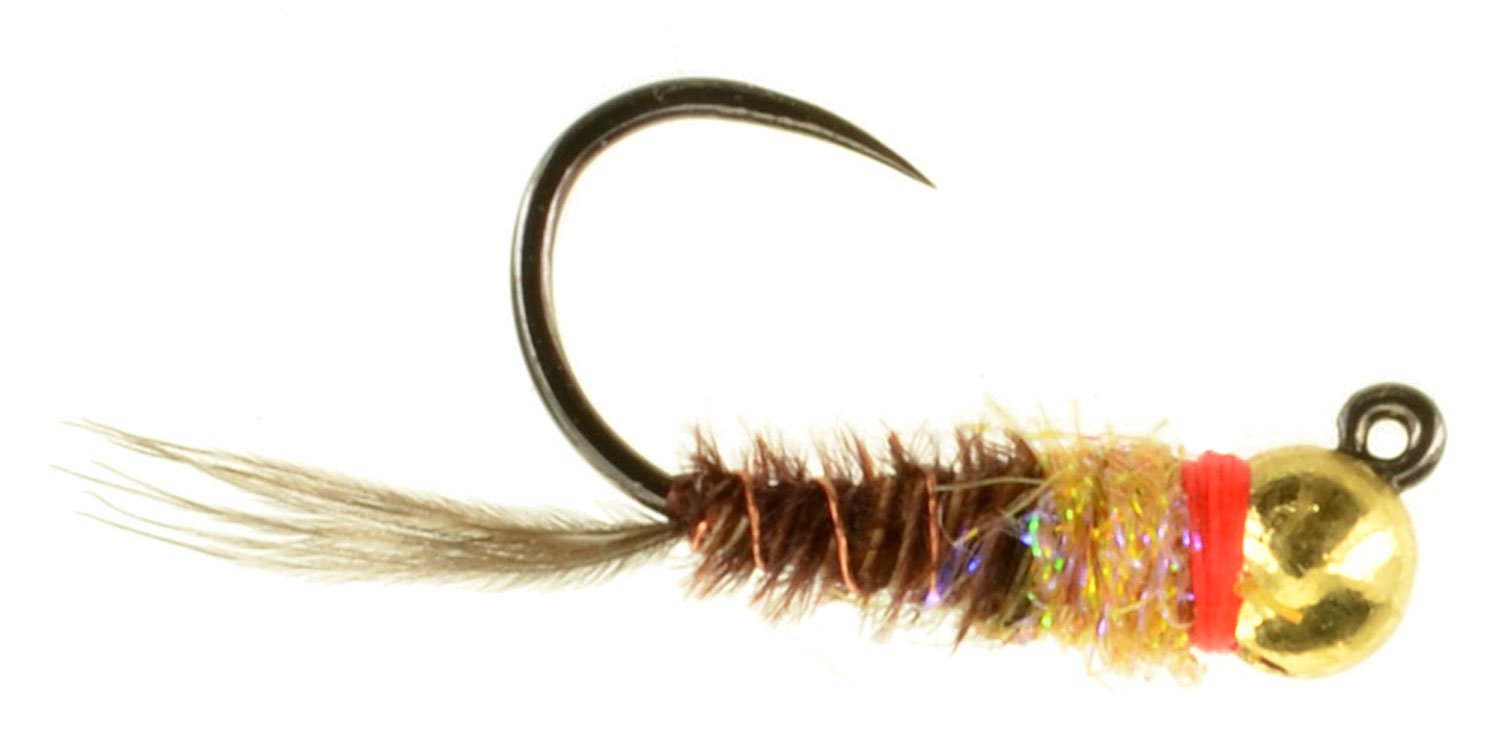 36 Pc BH Frenchie, Size #14 Euro Nymph Jig Fly Fishing Flies for Trout  Bluegill