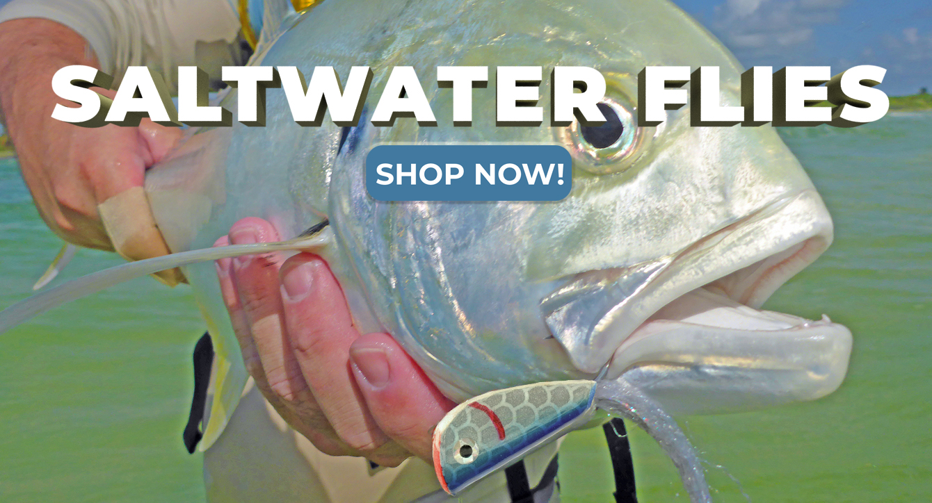 This 100-pound-plus fish lures saltwater fly anglers to the