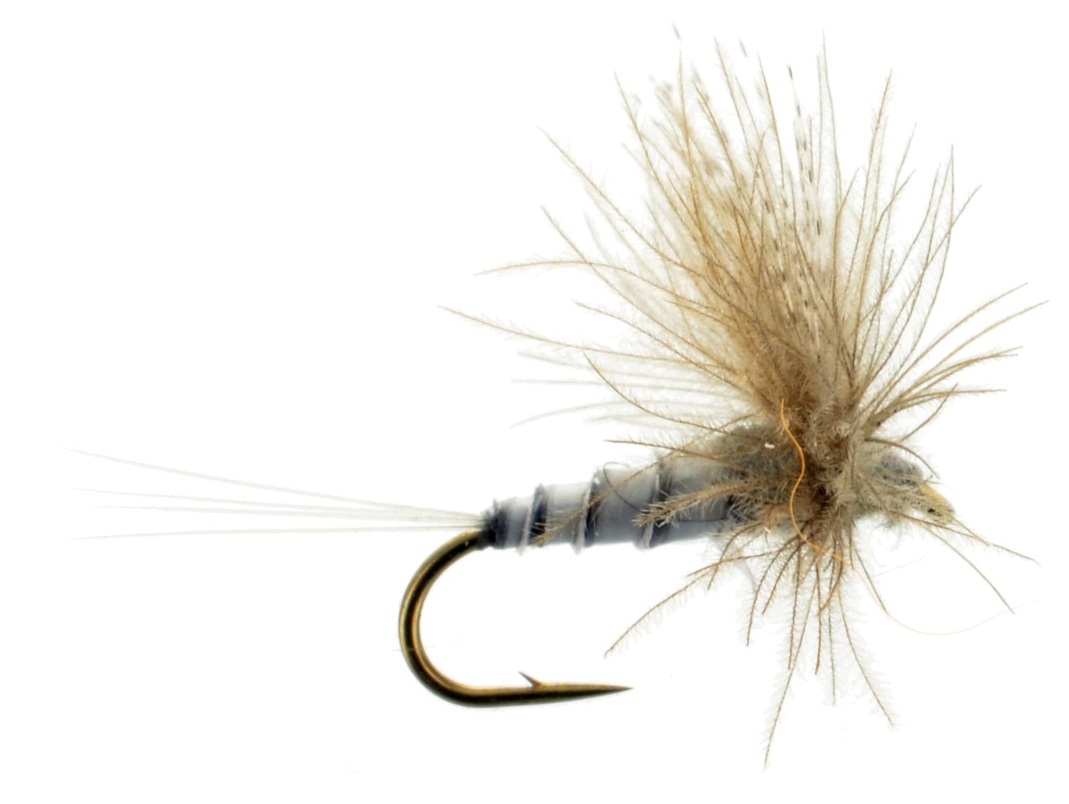 Baetis (BWO) Dry Flies : Top Fly Fishing Flies & Gear at Wholesale ...