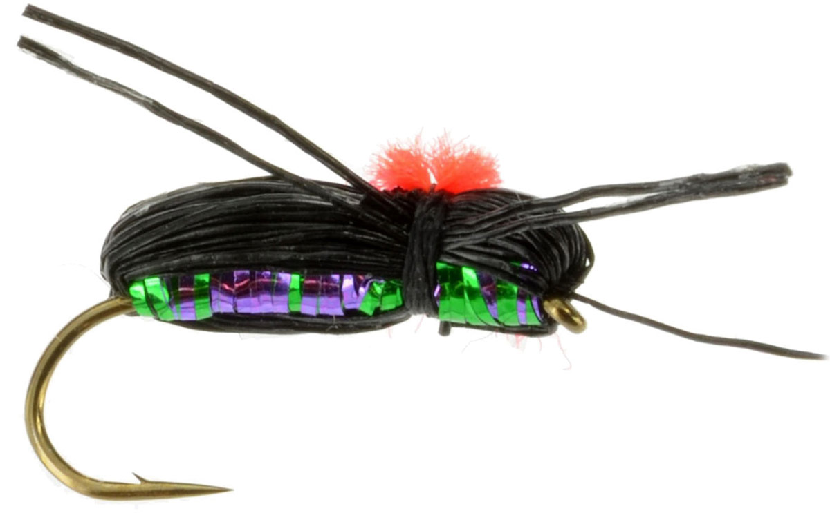 Daves Black Beetle Fly Fishing Flies For Less Discountflies