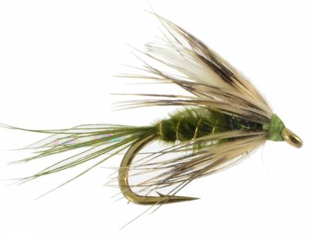 Olive Soft Hackle - Fly Deal Flies