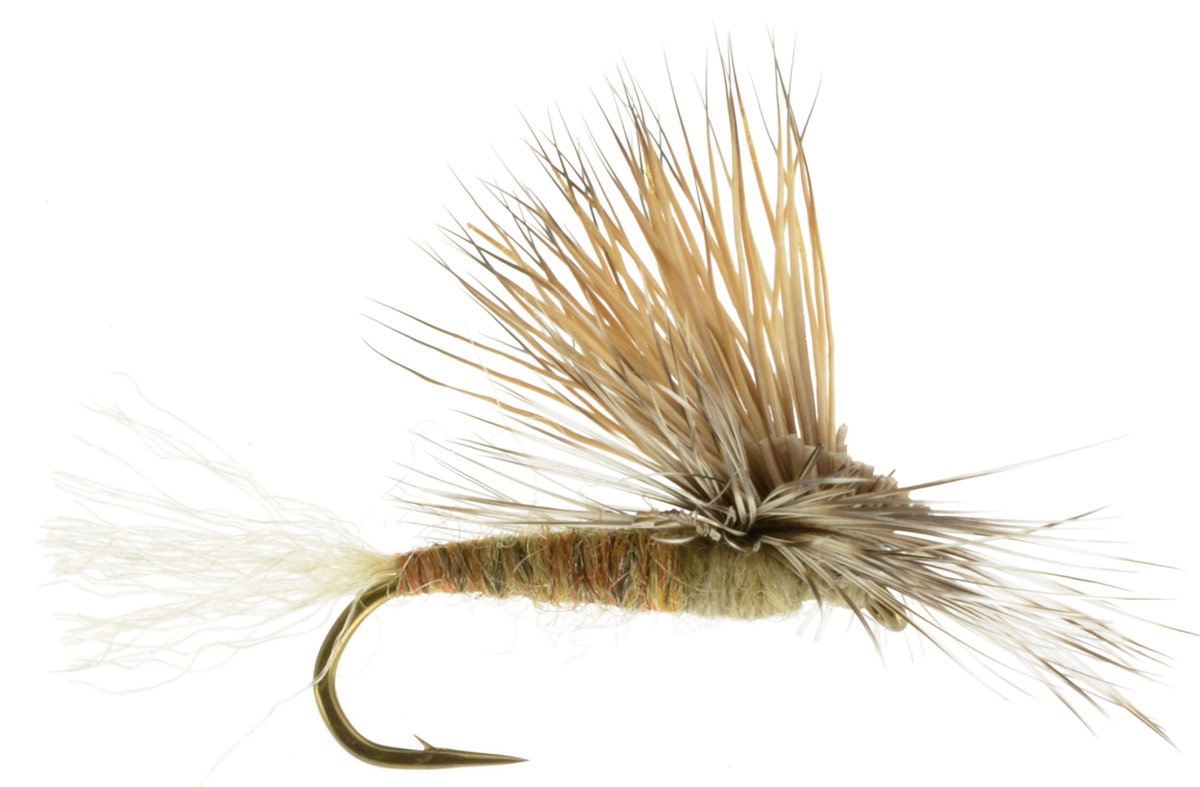 Caddis Dry Flies : Top Fly Fishing Flies & Gear at Wholesale Prices ...