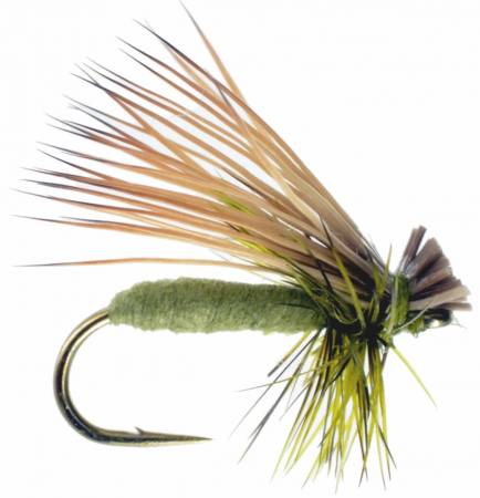 Foam Caddis - Olive, Fly Fishing Flies For Less