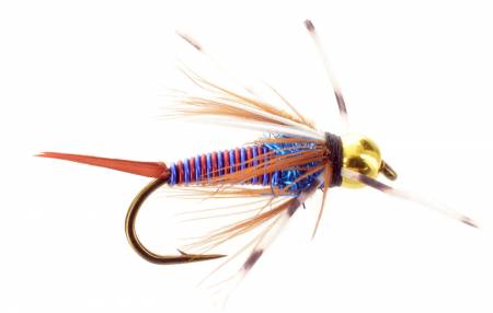  Fly Fishing Flies by Colorado Fly Supply - Rainbow Prince Nymph  - Bead Head Prince Nymph Variation - Premium Fly Fishing Flies and Lures  for Trout - Fishing Tackle and Gear 