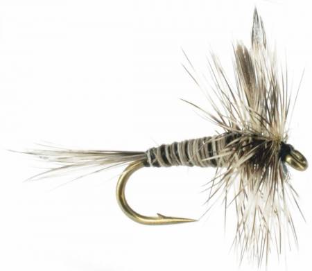 Mosquito Fly, Buy Mosquito Fly Fishing Flies Online