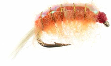 The Fly Fishing Place Orange Beaded Shrimp Scud Patterns- 6 Flies - Size 12  - Tailwater Lake Fly Fishing Nymph Flies