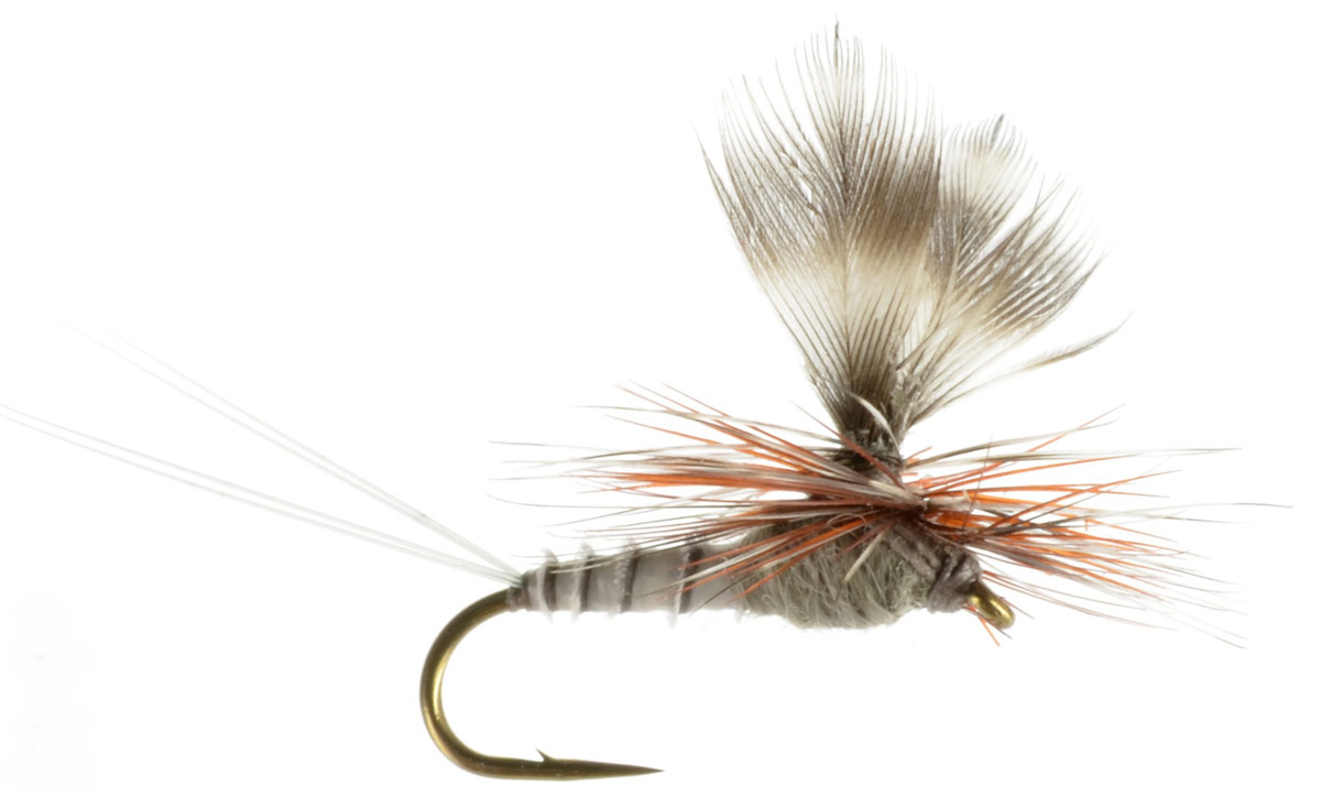The Parachute Adams; an Attractor Fly for Everyone - Simpson Fly Fishing