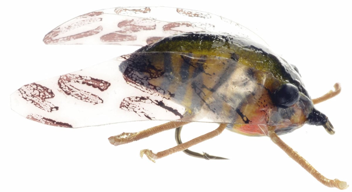 Cicada Fishing Flies one of each 10 colour,exciting breakthrough Realistic  Fly