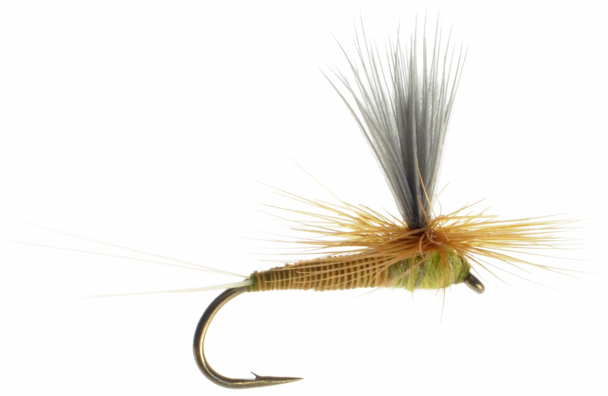 Buy Fly Fishing Flies For Less at Discountflies Online Fly Shop