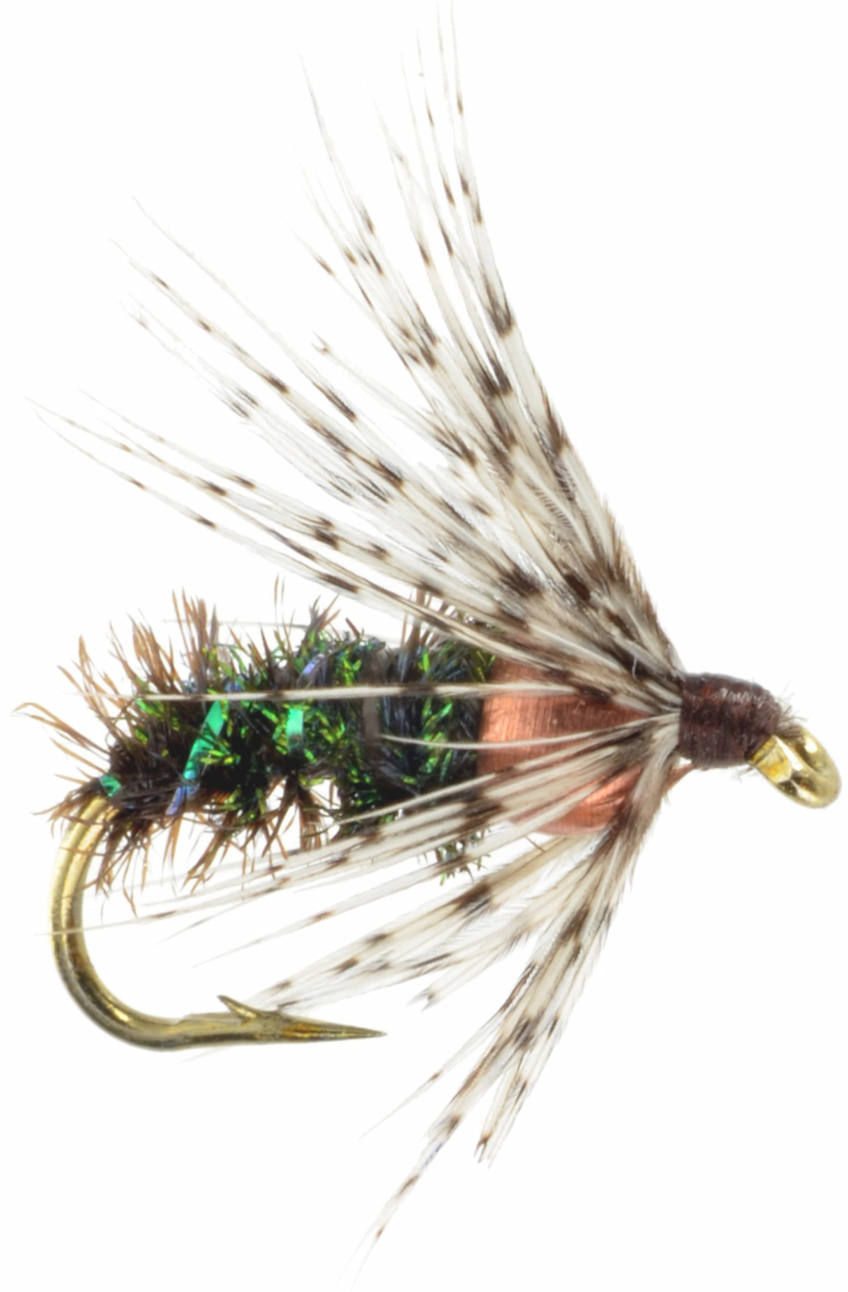 Blue Needle Peacock Soft Hackle wet fly Hook: TMC 103BL No.11 Body