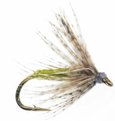 Soft Hackle - Olive