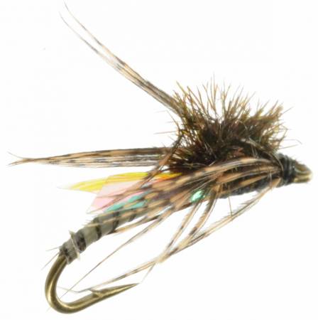 Fly-Fishing Soft-Hackles: Nymphs, Emergers, and Dry Flies: McGee