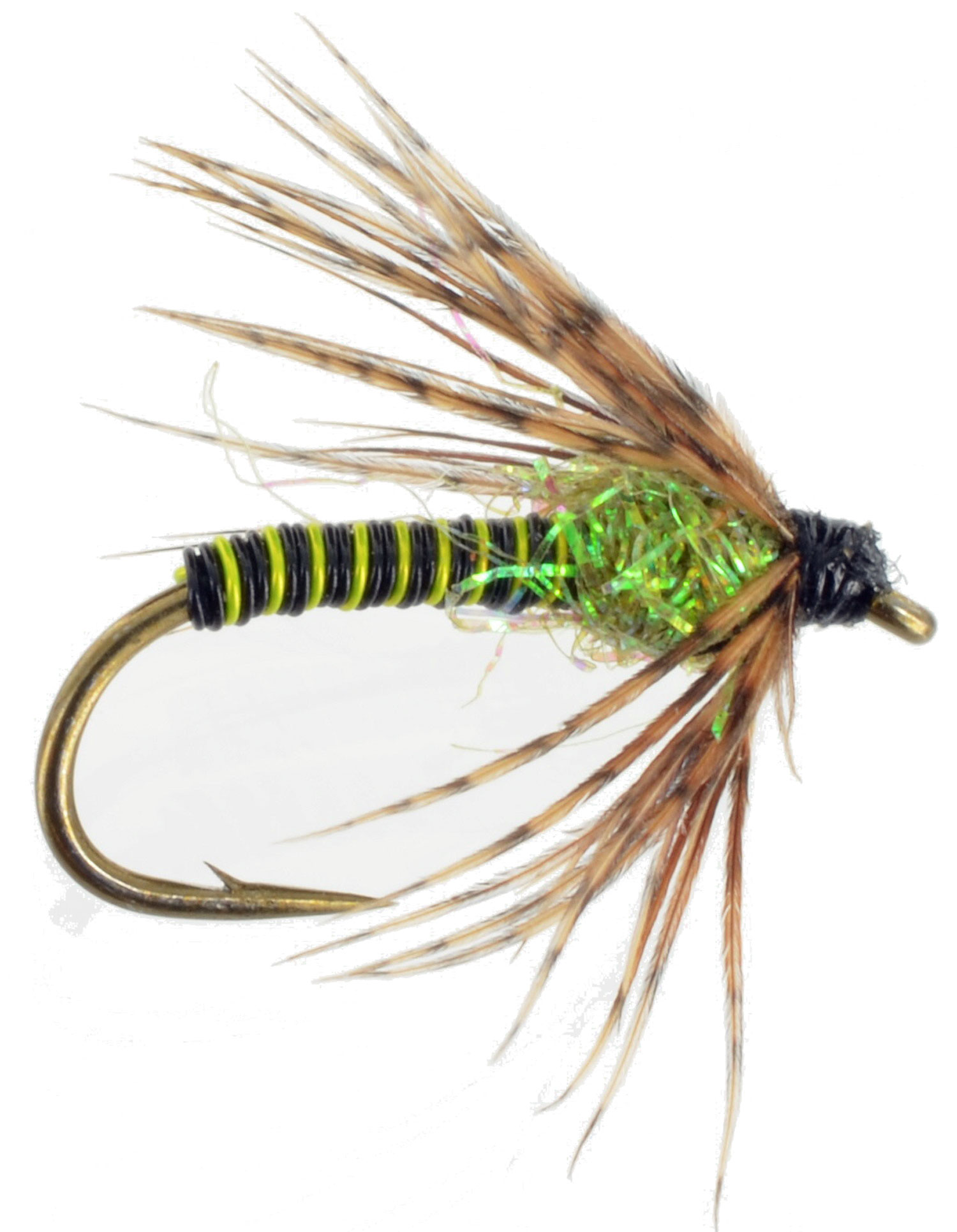 Tailwater Soft Hackle - Caddis Green