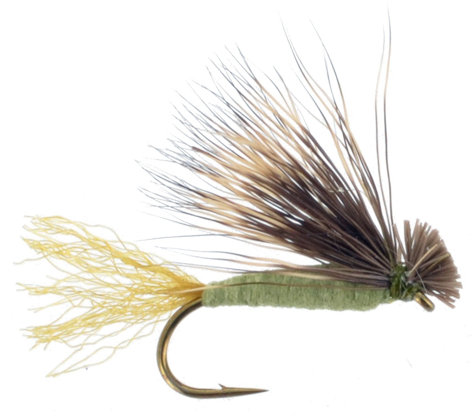 X-Caddis Foam Body - Olive