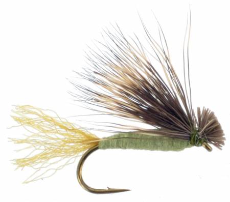 Foam Caddis - Olive, Fly Fishing Flies For Less