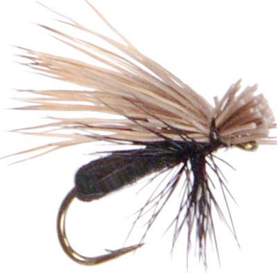 Foam Caddis - Black : Top Fly Fishing Flies & Gear at Wholesale Prices ...